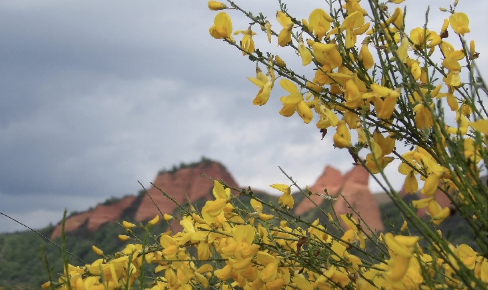 Imaxe para o artigo Dicionario do Galego do Bierzo